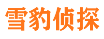 潞城市调查公司